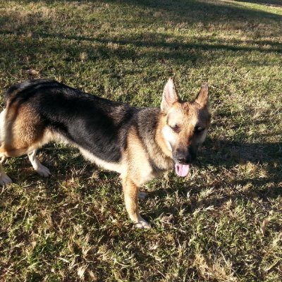 CharlesChiwara2's profile picture. golf