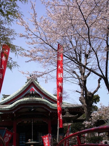 東京・井の頭恩賜公園内にある1000年以上の歴史ある弁天様です。吉祥寺駅から徒歩5分。
毎日午前7時と午後2時よりお勤め(法要などにより変更あり)
毎月1日と15日の午前10時より弁天供ご真言念誦会(法要などにより変更あり)