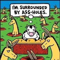 BelfastBapp's profile picture. 