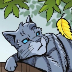 FeatherofHawk's profile picture. 🕊 Feather of Flying Hawk 🕊 Definetly not Feathertail reincarnated... 👀👀👀 Here to spread love. 💖 BLACK LIVES MATTER & ACAB