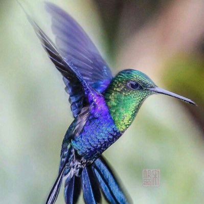 SchmittKellie's profile picture. Wife, mother, art teacher, reader, home remodeler/crafter, DIYer, traveler