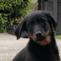 JB REGNIER (@jbdu89) 's Twitter Profile