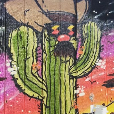 pschmidt33's profile picture. 