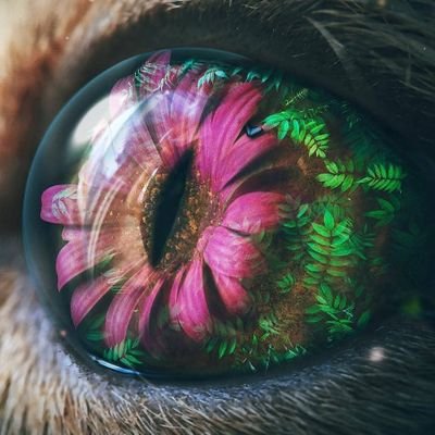 люблю хуи 😈🥖потолще, склонен к🥨 подчинению, нужно жёстко🔞☣️🔞 ебать и сливать🌡️🥵