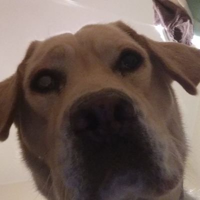 AJC96_'s profile image