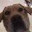 AJC96_'s profile image