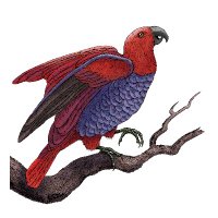 Practical Natural Language Processing (@practicalnlproc) 's Twitter Profile