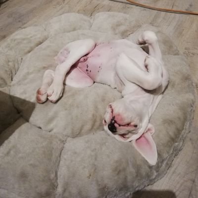 M_Bungaloww's profile picture. 