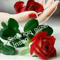 HSYN (@karcioktay) Twitter profile photo