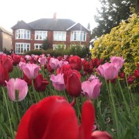 Bayan Alwadai (@bwadai) 's Twitter Profile Photo