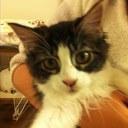 Asami Suzuki - @asami_szki - Twitter