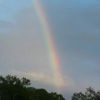 orbpeace (@orbpeace) 's Twitter Profile