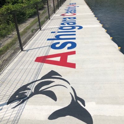 足柄キャスティングエリア Ashigaracasting Twitter 足柄キャスティングエリア Ashigaracasting Twitter