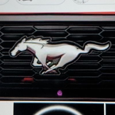 Bronco35857848 Profile Picture