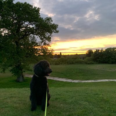 helihj's profile picture. enjoy