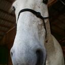 Ellen Brooks - @LookoutEllen - Twitter