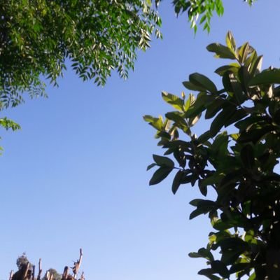 Lgh9nRUNmEfos0z's profile picture. 