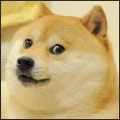 Doge Bot Profile