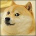 Doge Bot (@dogebot187) Twitter profile photo Doge Bot (@dogebot187) Twitter profile photo