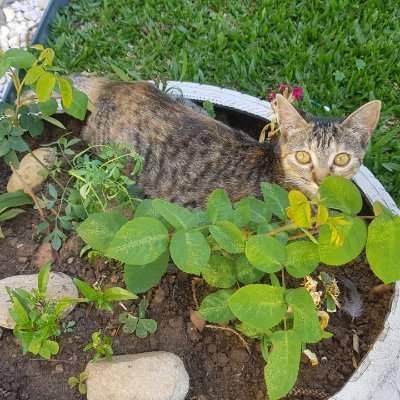 abnxhl's profile picture. 