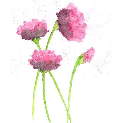 graceandgranola's profile picture. 