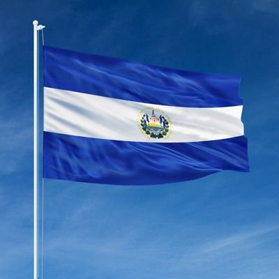 Fútbol, Cine, Televisión, Historia, Geografía, Ciencias.