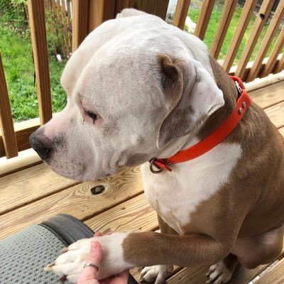 Brianshifflett6's profile picture.