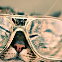 basketpeg (@bsktpe) 's Twitter Profile