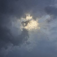 Basu Mab (@basumaster80) 's Twitter Profile