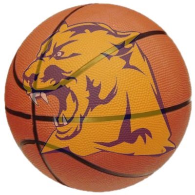 WHS_girlsbball's profile picture. Official Twitter of Whitmer Girls' Basketball -One Day Better-