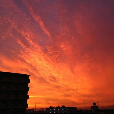 capmet's profile picture. lov4、FGO、グラブル、ff14など。