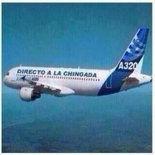 turcodog's profile picture. 