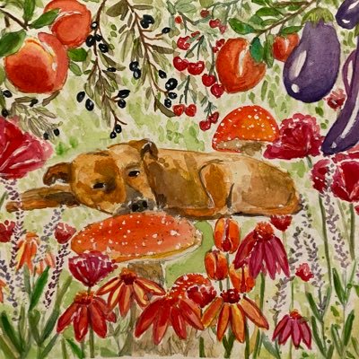 arieswoon's profile picture. 