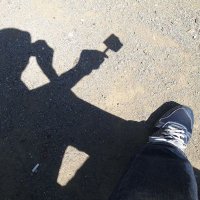 かめのこたわし (@kamenokotawasi3) 's Twitter Profile