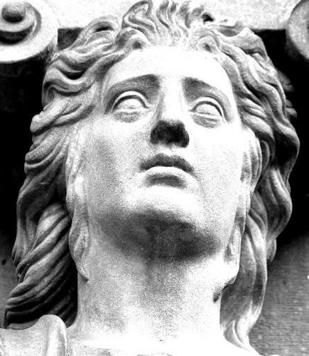 WTillotson's profile picture. 