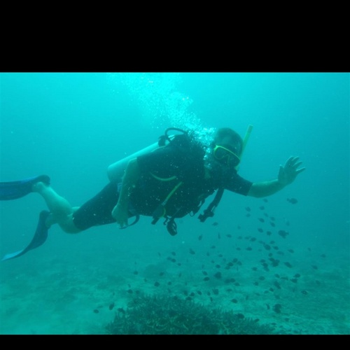 Firstskin's profile picture. 