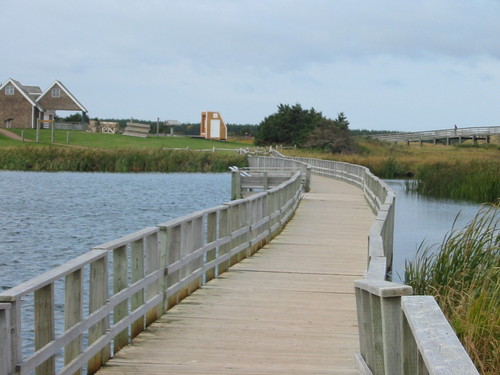 Wife is best friend and cancer survivor. Am dad, husband, friend, mentor, pilgrim on the path. Photo is pontoon bridge on PEI, Atlantic Canada.