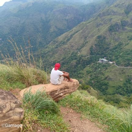 Lasitha94793663's profile picture. 