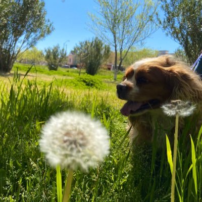 DanArqui25's profile picture. 