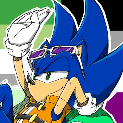 Bringing you daily Sonic characters from the games, comics, tv shows, etc. Submissions are always open via DM! Inspired by @daily_furry. Run by @_mrneedlem0use_