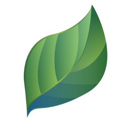 EcoMeego provides tips and solutions to everyday eco-friendly challenges. #ecofriendly #zerowaste #sustainable