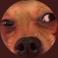 tcg_prick.exe (@vo9oc) 's Twitter Profile Photo tcg_prick.exe (@vo9oc) 's Twitter Profile Photo