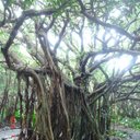 Tomoko Hamada - @TomokoHamada12 - Twitter