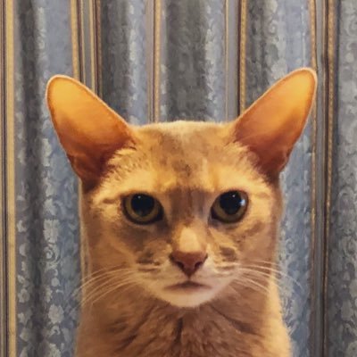 rx8swC6XBFbg84C's profile picture. 