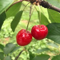 スル@🇹🇭 (@2_sursul) 's Twitter Profile Photo