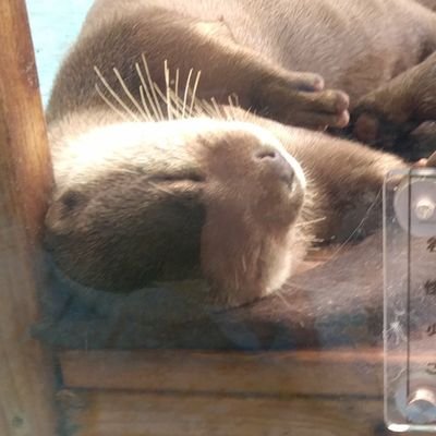 kibunya01282's profile picture. 大阪市立大学4回生/学生ゼミナール
ぬるい友情、無駄な努力、むなしい勝利がモットー