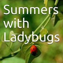 Summers with Ladybugs is a moving autobiographical memoir  by Aubrey Carter. It explains how she survived with and managed to leave a highly abusive husband.