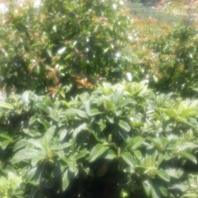 0707Grn's profile picture. futbol izlemek futbol oynamak