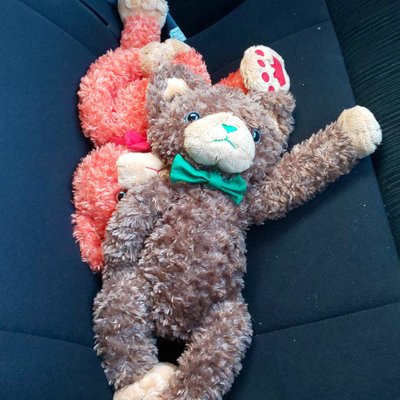 とらじ カクヨム 小説家になろう Torazinohanashi Twitter