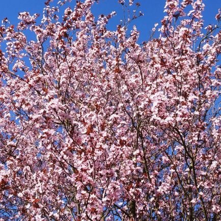 iloveusmore's profile picture. 